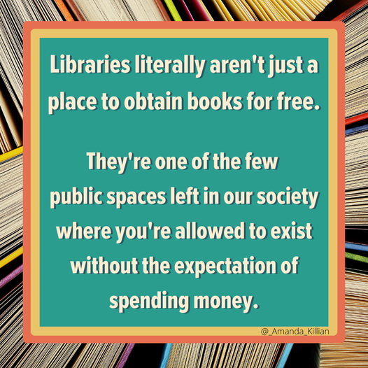 O&S(meme) - Library spending