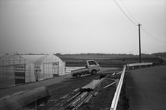 Green houses by paddy fields Green houses by paddy fields