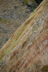 DSCF9095 DSCF9095