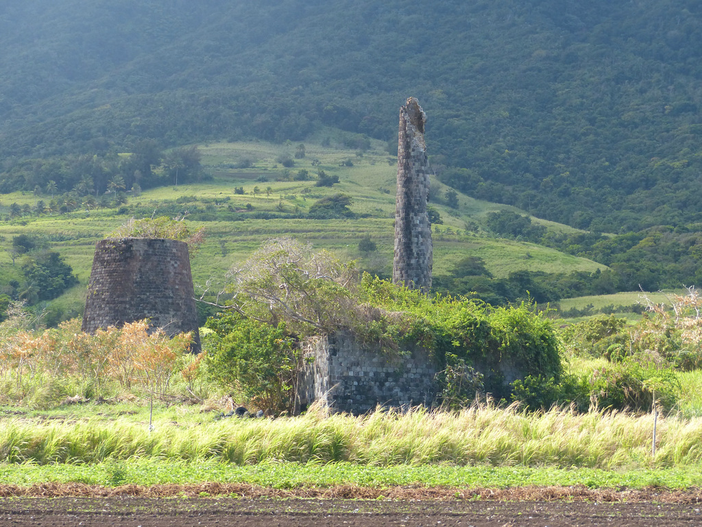 St. Kitts Scenic Railway (19) - 12 March 2019