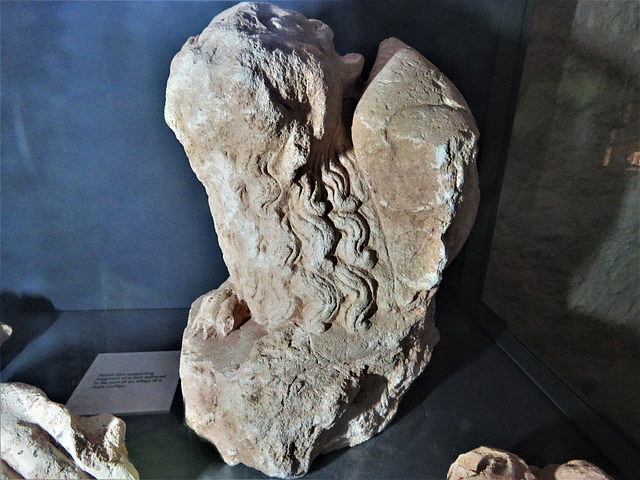 torre abbey, devon, c15 fragment of a lion from a civilian tomb