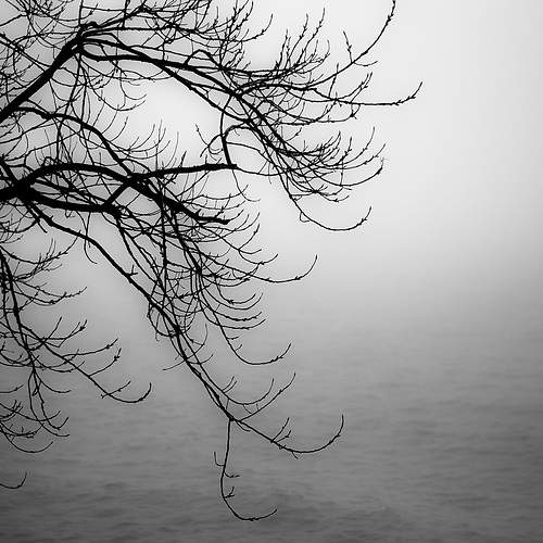 Lakeside Fog 057