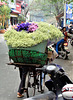 Vietnam 2016 / Hanoi 2xPiP