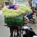 Vietnam 2016 / Hanoi 2xPiP