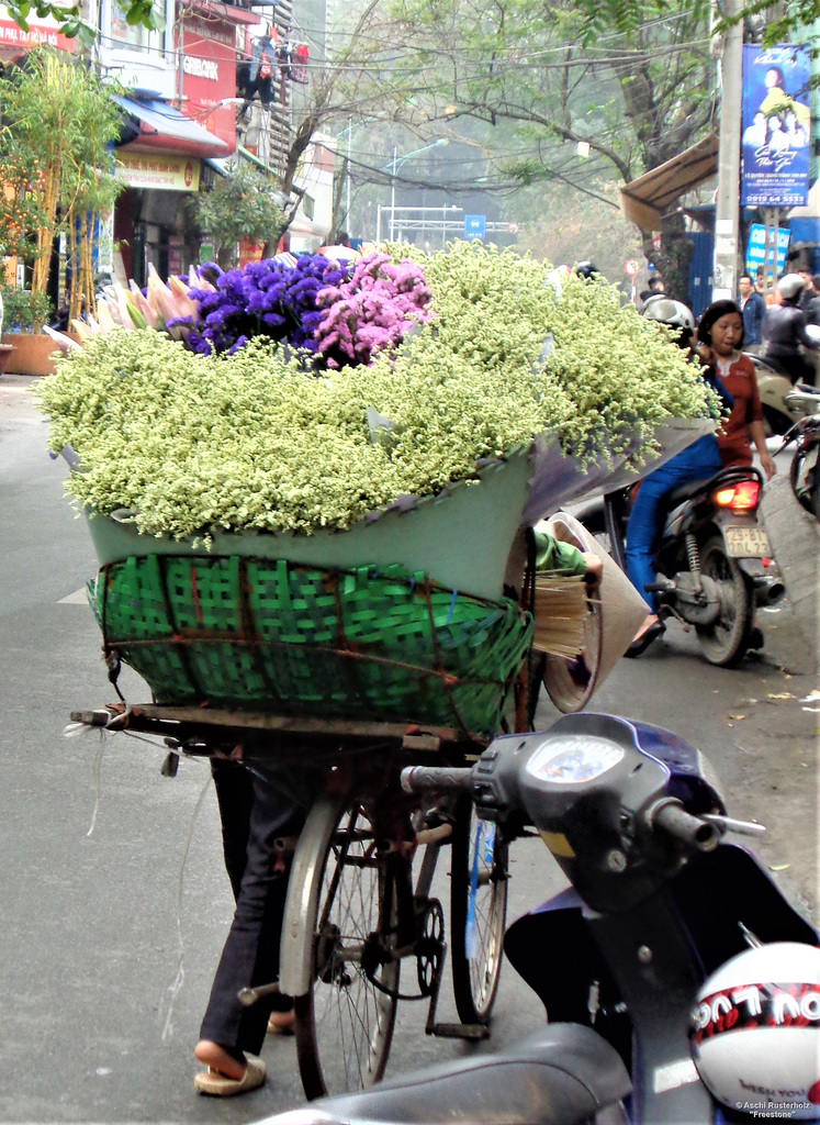 Vietnam 2016 / Hanoi 2xPiP