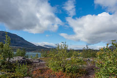 am nördlichen Ende des Stora Lulevatten (© Buelipix)