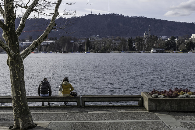 HBM ... with benches on the shore of Lake Zurich ... P.i.P. (© Buelipix) HBM ... with benches on the shore of Lake Zurich ... P.i.P. (© Buelipix)