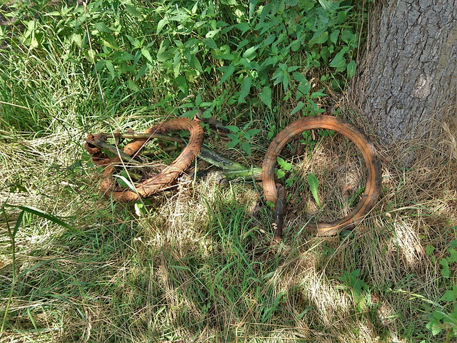 Fahrrad-Moorleiche