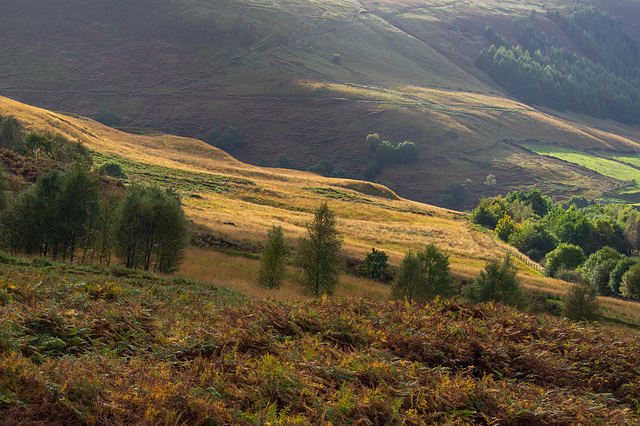 Longdendale: Wildboar Clough to Torside Clough