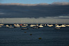 un soir dans la baie