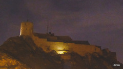 LR-1040350