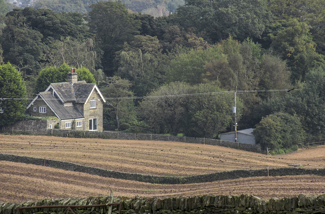 Wigley Farm fields view to Castle Dyke Lodge 3