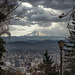 Mt. Hood on the Horizon