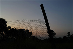 Penedos, HFF IS NOW CLOSED, SEE YOU NEXT FRIDAY !