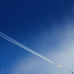 PEACE OF THE WORLD,