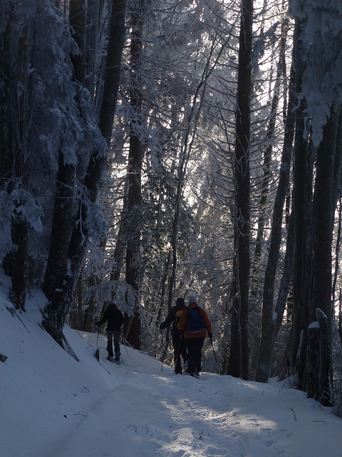 20150101 -03 Raquettes Vercors (28) al