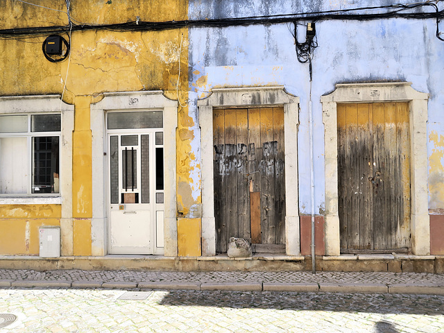 Murs à Tavira (Portugal)