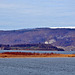 Insel vor der Insel im Bielersee