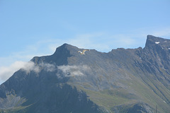 Norway, Lofoten Islands, Seagull over the Mountains