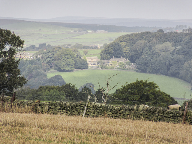 Looking to Fulwood Hall