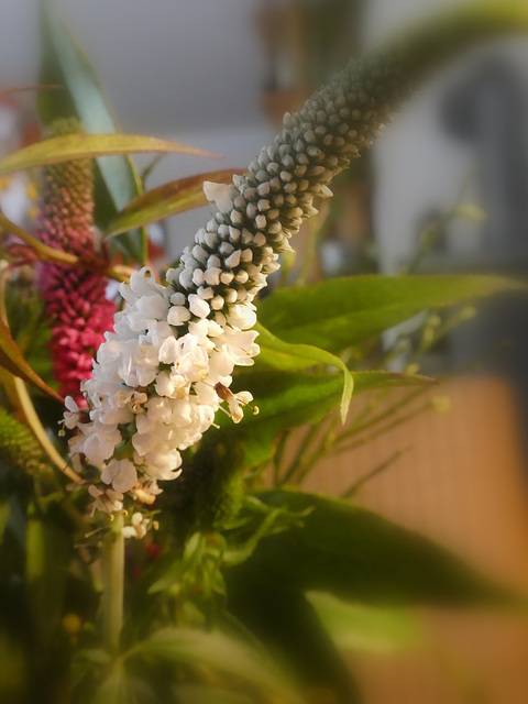 Detail von einem Blumenstrauß