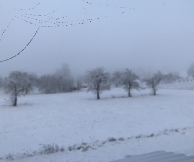 Blick aus dem Fenster