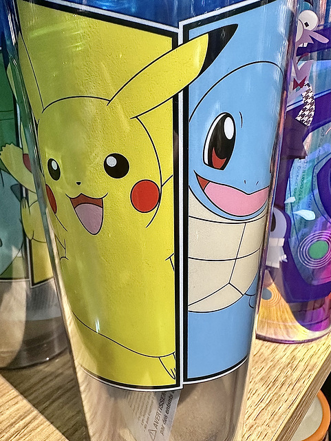 Pokemon Container