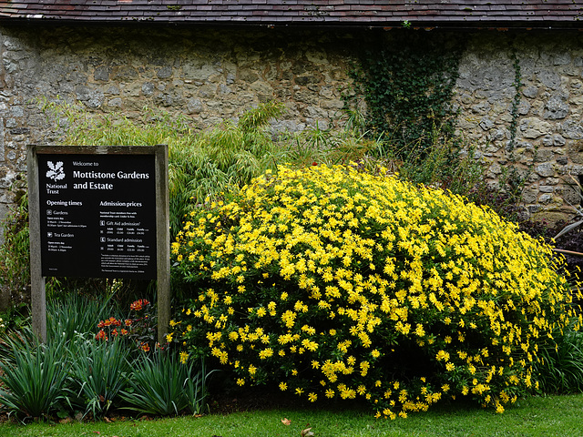 Mottistone Gardens and Estate