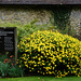 Mottistone Gardens and Estate