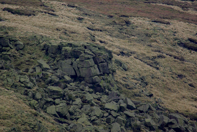 Shelf Benches rocks