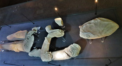 torre abbey, devon, c15 knight tomb effigy fragments   (2)