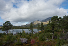 am nördlichen Ende des Stora Lulevatten (© Buelipix)