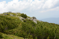 Bulgaria, The Old Prayer Hill in the "Rila Lakes" Circus