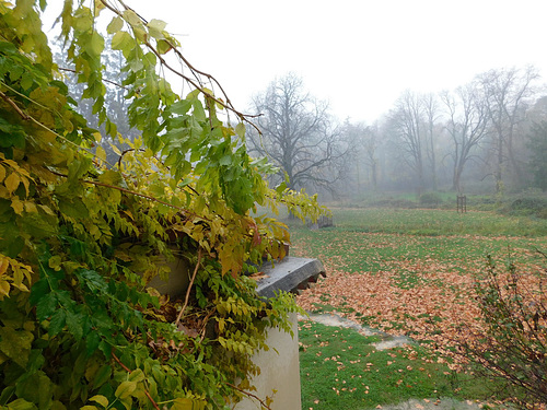 DSCN1547 redimensionner