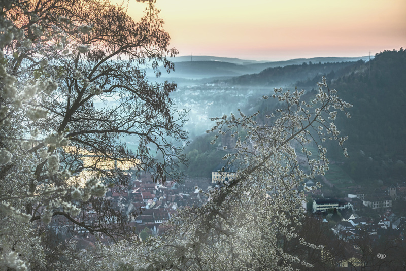 Easter Morning