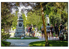 Zentralfriedhof