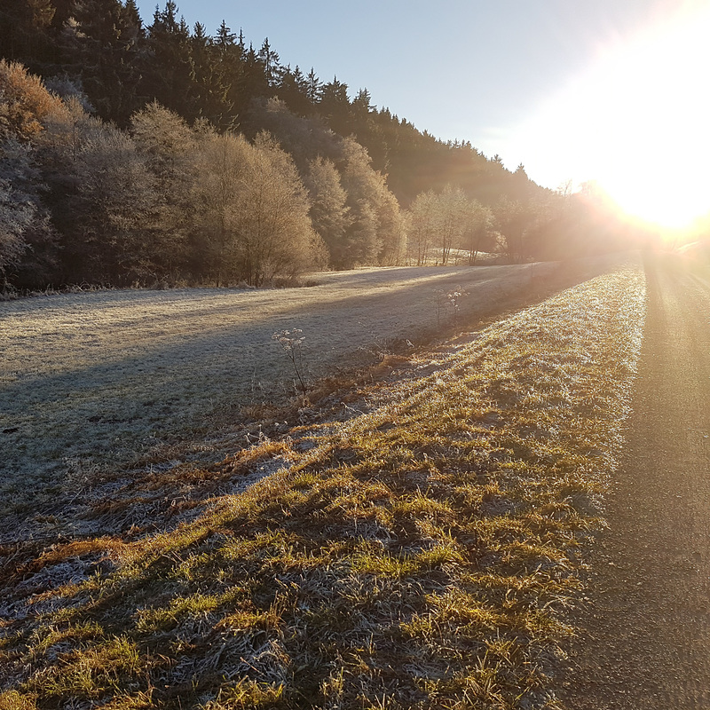 Blankenheim - Schaafbachtal