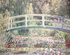 Detail of Waterlilies and Japanese Bridge by Monet in the Princeton University Art Museum, April 2017