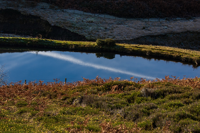 Contrail reflection