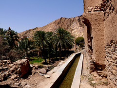 Aflaj in old Birkat al Mawz.