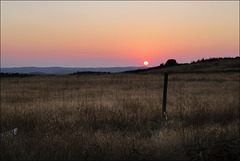 Martim Longo, Sunset