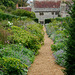 Mottistone Gardens