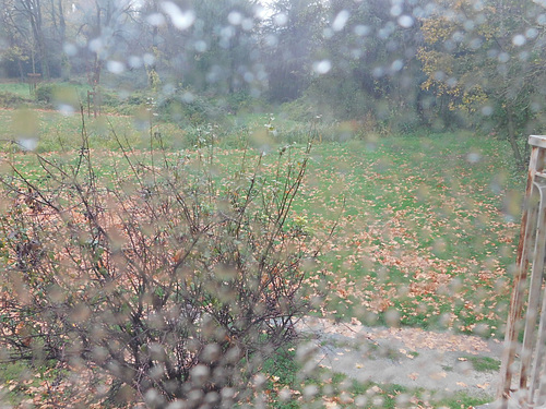 DSCN1546 redimensionner