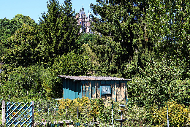 Salauds de pauvres * , qui enlaidissent le paysage