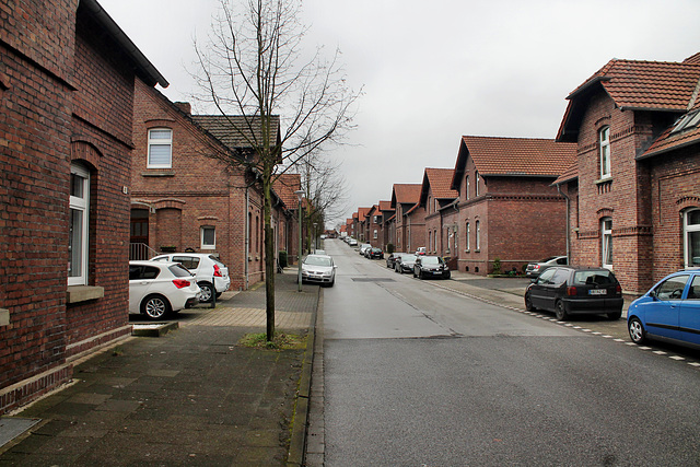 Arenbergstraße, Zechensiedlung (Bottrop-Batenbrock) / 19.03.2017