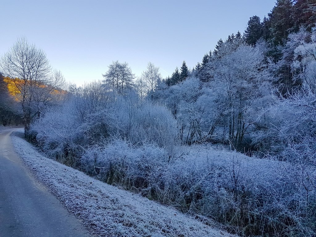 Blankenheim - Schaafbachtal