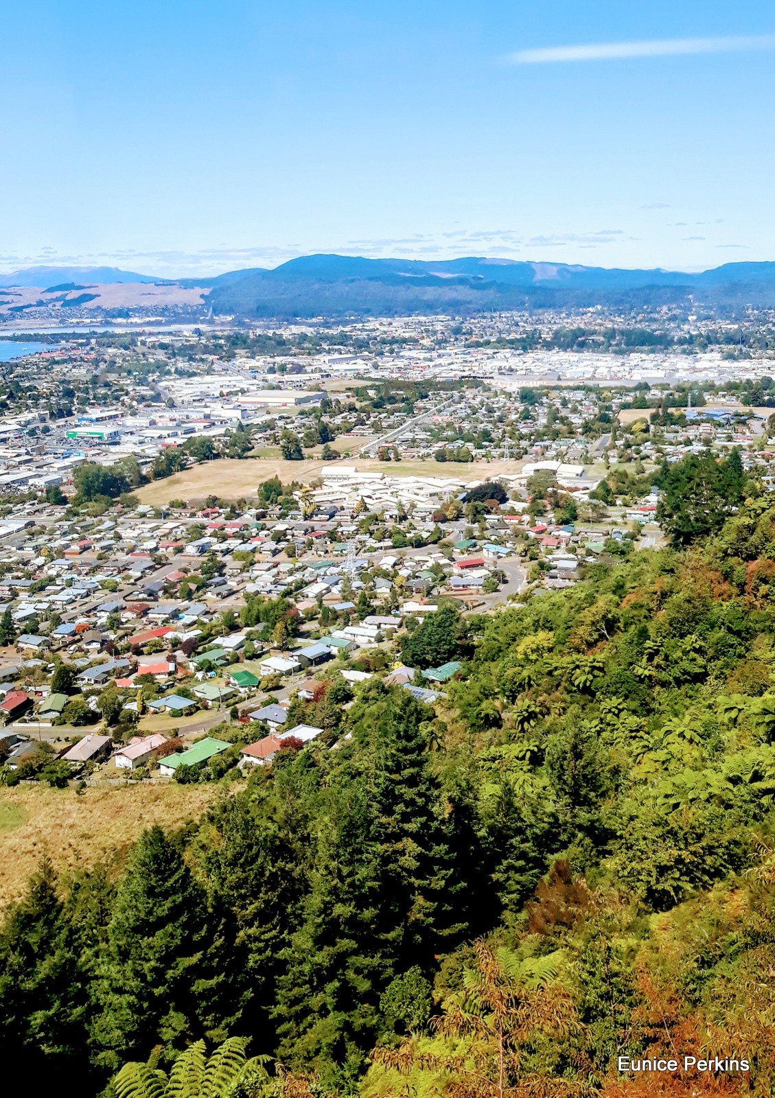 High Above Rotorua.