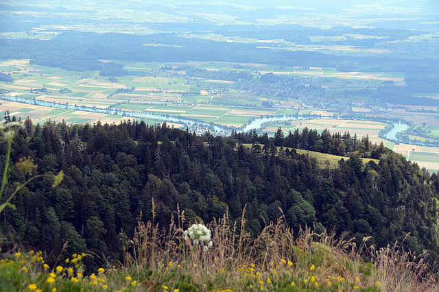 Die Aare bei Altreu im unteren Seeland zwischen den Kantonen Bern und Solothurn