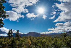 herbstliche Mittagssonne in Laponia (© Buelipix)