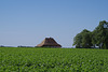 maison typique de Saône et Loire côté Louhans